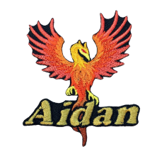 Back Patches - Portfolio